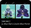 P. LL Blue Owl x Lioulin Blue Parrot 3681